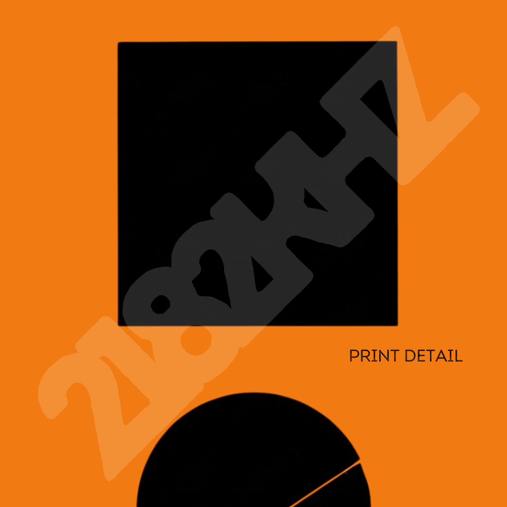 Signal 223 - Pro-Democracy Coded Dorm Room Art