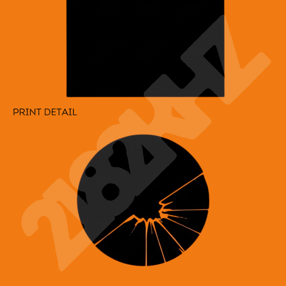 Signal 223 - Pro-Democracy Coded Dorm Room Art