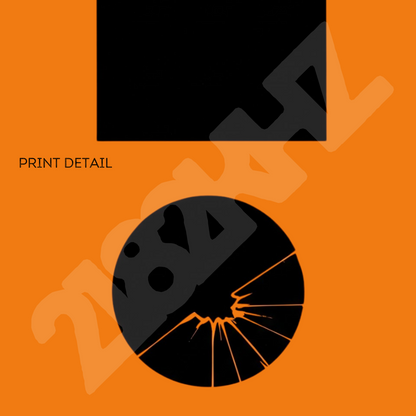 Signal 223 - Pro-Democracy Coded Dorm Room Art
